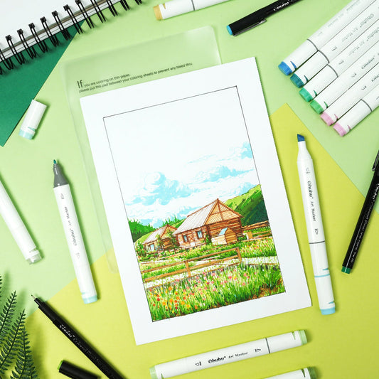 Ohuhu Oahu alcohol markers fine and chisel tips detail