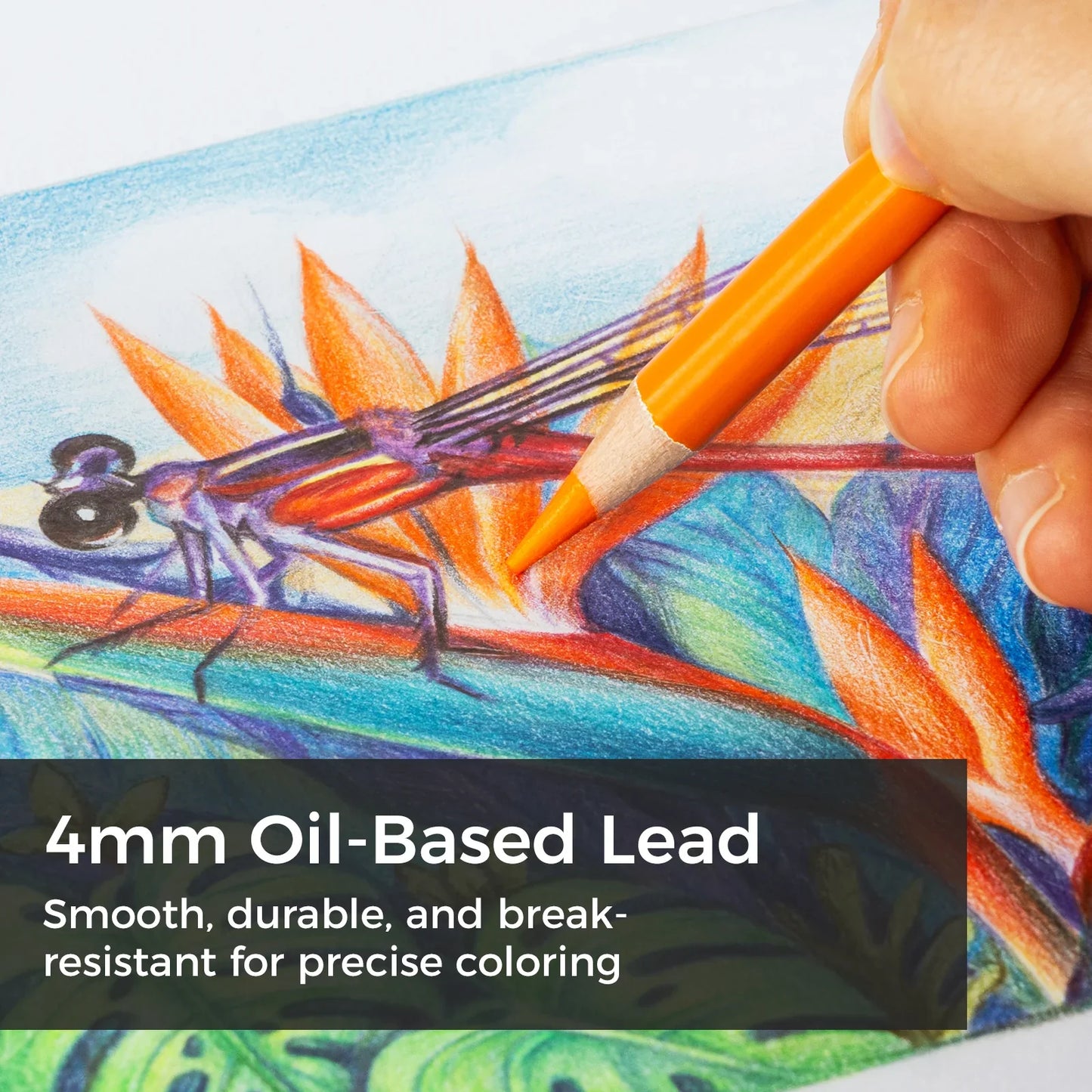 Ohuhu Halawa Series 72 Colours Oil-based Coloured Pencils